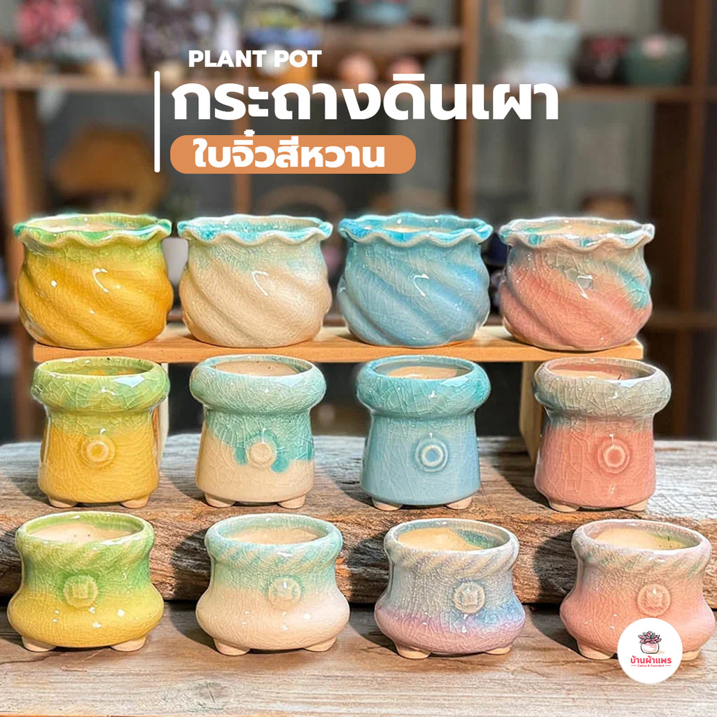 กระถางดินเผา ใบจิ๋วสีหวาน กระถางต้นไม้ ไม้อวบน้ำ กุหลาบหิน cactus&succulentหลากหลายสายพันธุ์