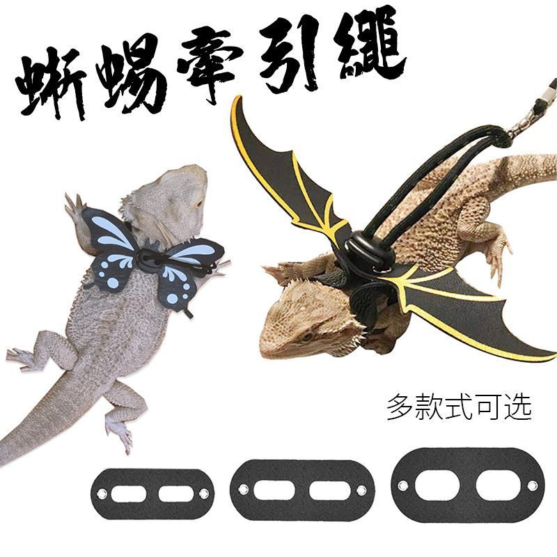 爬虫蜥蜴牵引绳鬃狮蜥蓝舌外出牵引带遛蜥蜴绳爬宠牵绳带翅膀背带3.16Reptile Lizard Leash, Bearded Dragon Lizard Blue-tongue Lizard Out