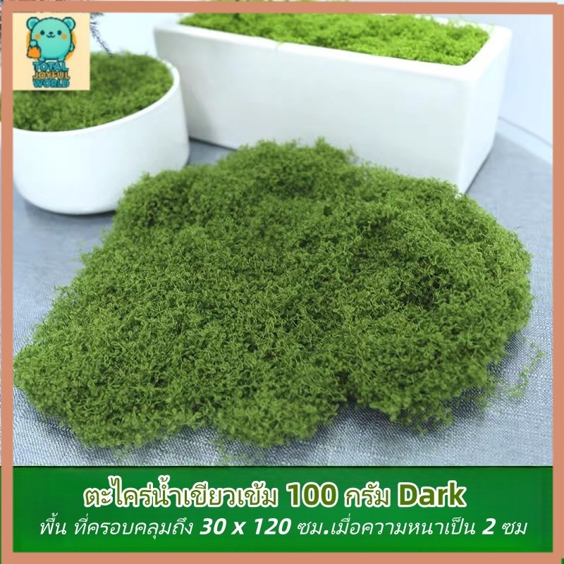 มอสเทียม 100 กรัม - สำหรับตกแต่งจุลภูมิ DIY บอนไซ สวนหิน และฉากตกแต่ง【สต็อกท้องถิ่น】