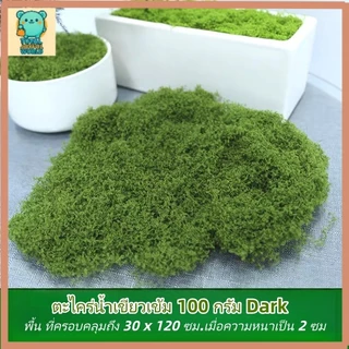 มอสเทียม 100 กรัม - สำหรับตกแต่งจุลภูมิ DIY บอนไซ สวนหิน และฉากตกแต่ง【สต็อกท้องถิ่น】