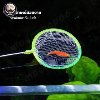 3 ขนาด สวิงตักปลา ที่ตักปลา ทรงกลม ตาข่ายเหนียว ใช้ได้ยาวนาน (สินค้าคละสี)