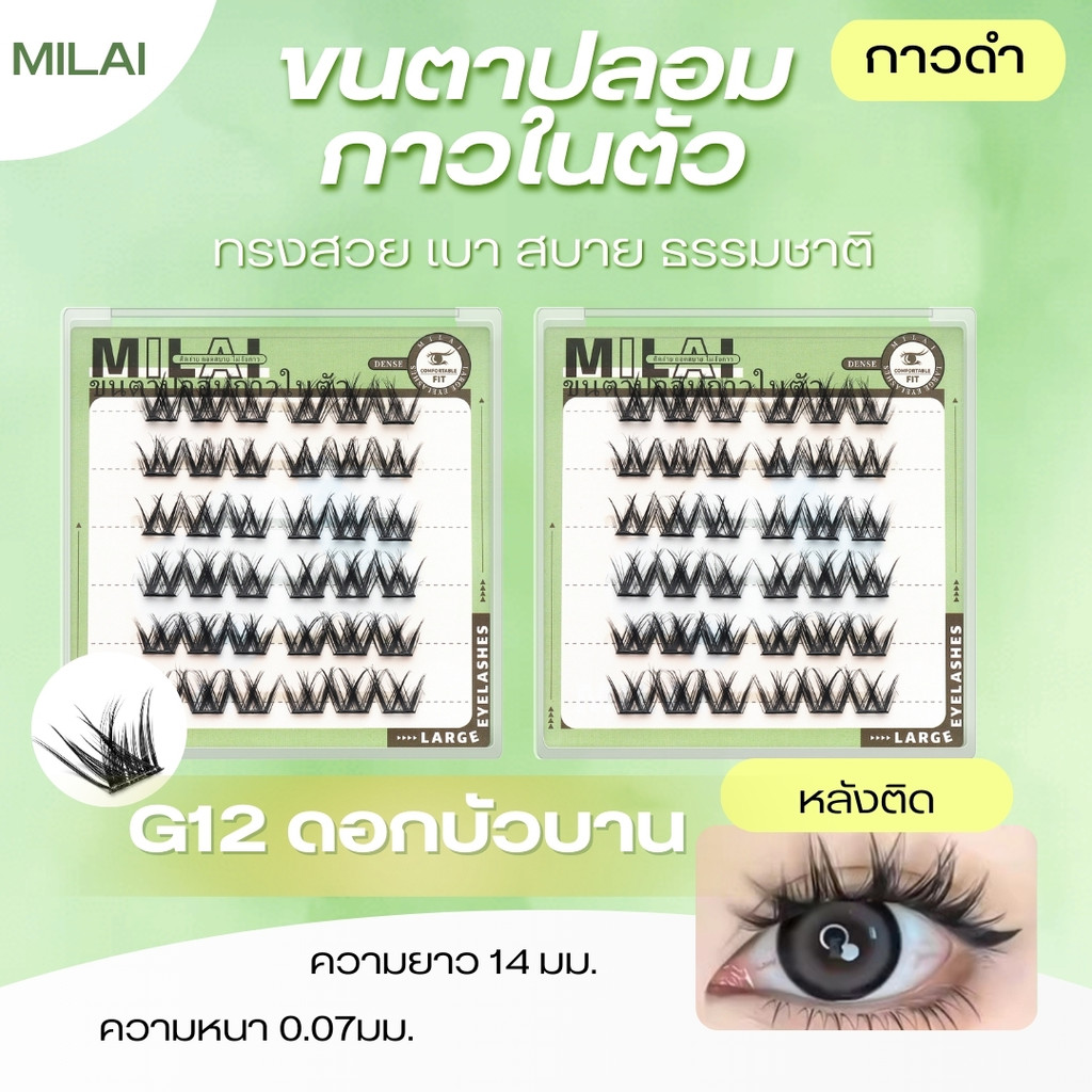 【G12ดอกบัวบาน】MILAI ขนตาปลอมกาวในตัว เส้นขนเรียงสวย ดูฟุ้งๆ  เบาสบาย ไม่หนักตา