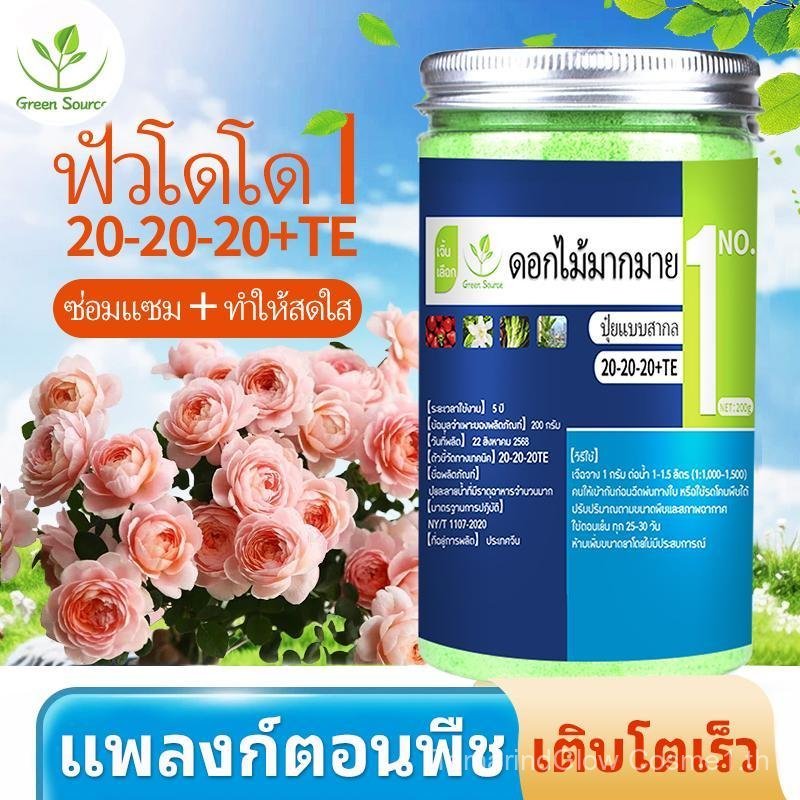 ปุ๋ยเร่งดอกละลายน้ำ สำหรับต้นไม้ทุกชนิด ปุ๋ยบำรุงดอก เพิ่มสีสันและความสวยงาม，แพลงก์ตอนพืช，ปุ๋ยบำรุงดอกปุ๋ยละลายน้ำ、ต้นขี้กา、ต้นเซเลอรี่、ต้นไม้อลูมิไล、ต้น โยนี - รูปที่ 4