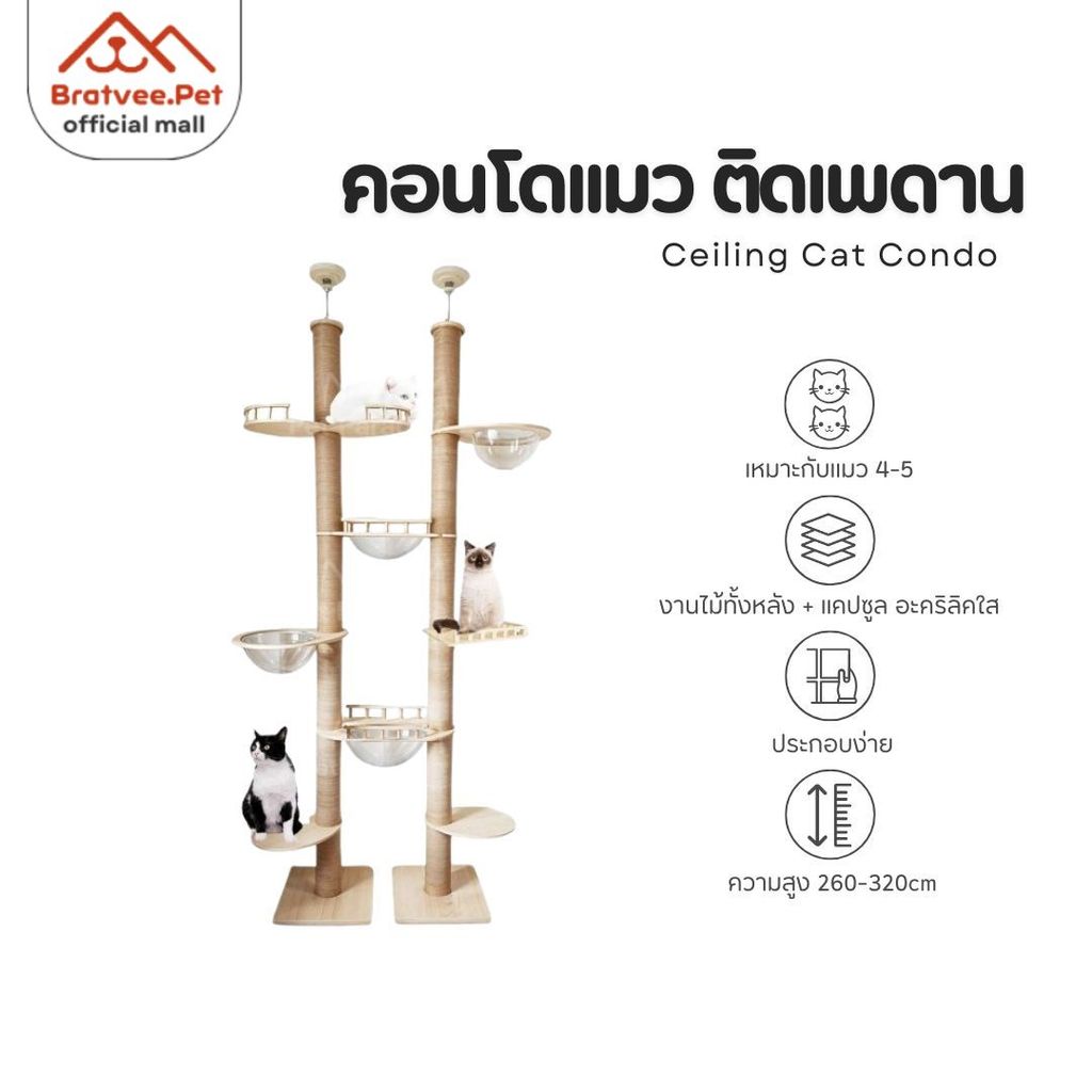 [Bratvee] คอนโดแมว ติดเพดาน คอนโดติดเพดาน เหมาะสำหรับเพดานความสูง 260-320 cm คอนโดแมว ปรับความสูงได้