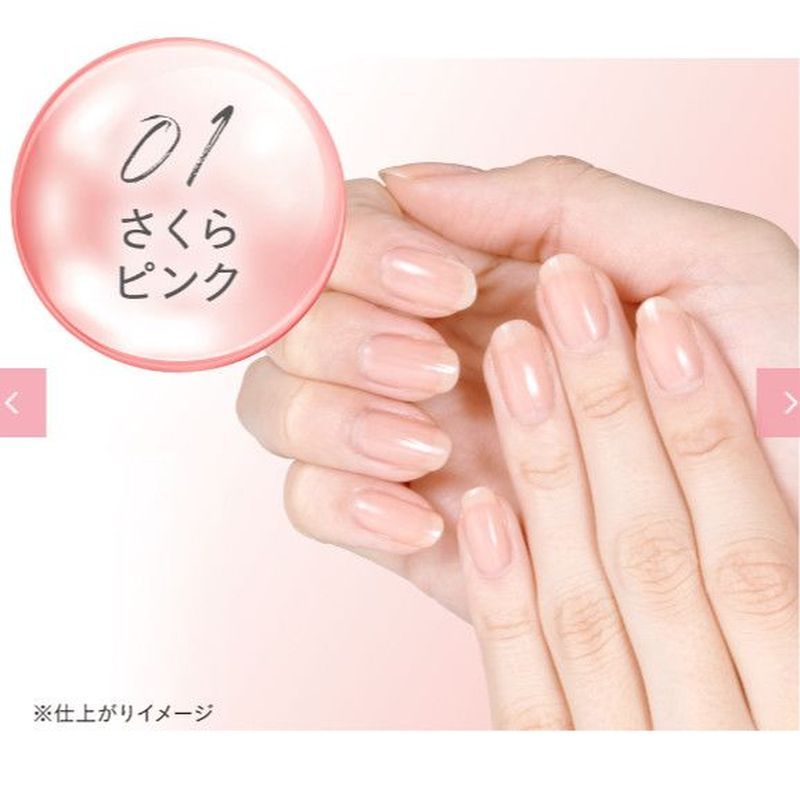 ลั่วหยางเมืองลาวเฉิง District Shinuo Department Store (ส่วนบุคคลอุตสาหกรรมเชิงพาณิชย์) ญี่ปุ่นท้องถิ