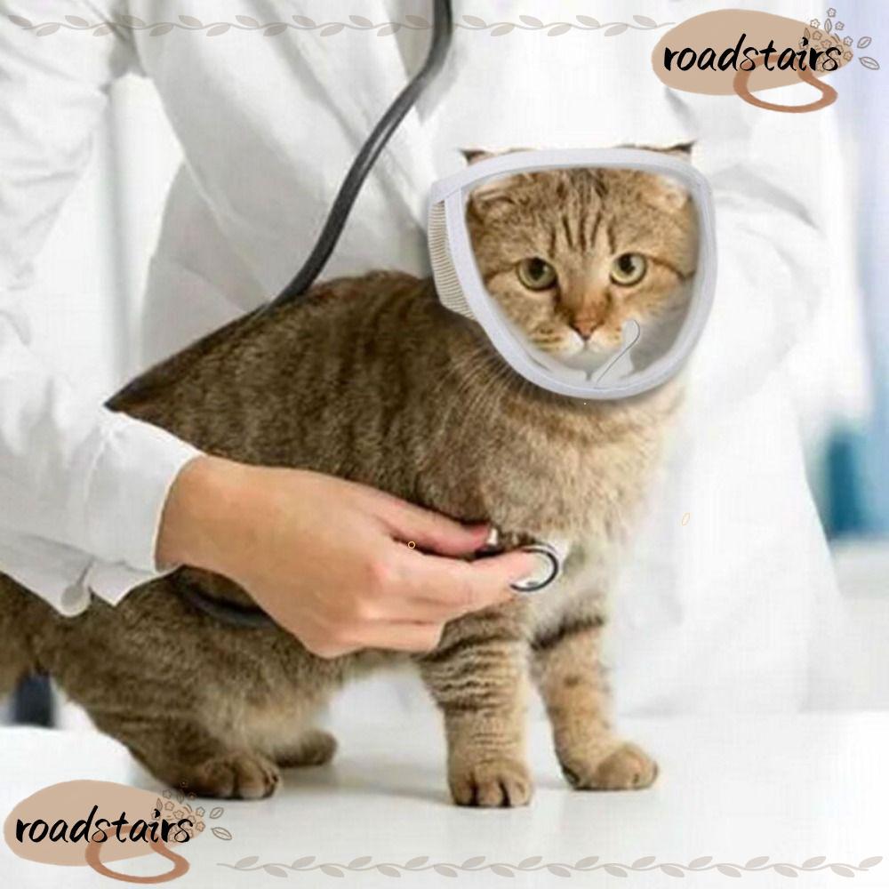 ROADSTAIRS Kitten Muzzles Anti Bite Transparent Chewing Safety Mouth Guard