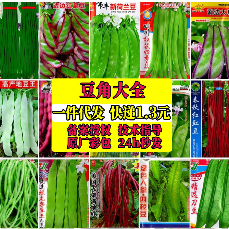 现货*四季蔬菜种子长豆角种子架豆芸豆春夏秋豇豆家庭院种植易种Four-season vegetable seeds: long bean seeds, trellis beans, and kidne