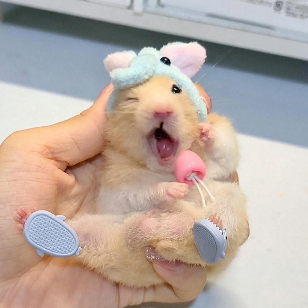 Mini Shark Slipper ซิลิโคนสัตว์เลี้ยงหนูแฮมสเตอร์เม่นรองเท้า Shark Slipper Fun R2t0