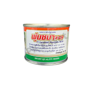 เมล็ดแตงกวา พุ่มชบา #49 50g ตราแพะทอง แตงกวาลูกผสม F1 HYBRID CUCUMBER