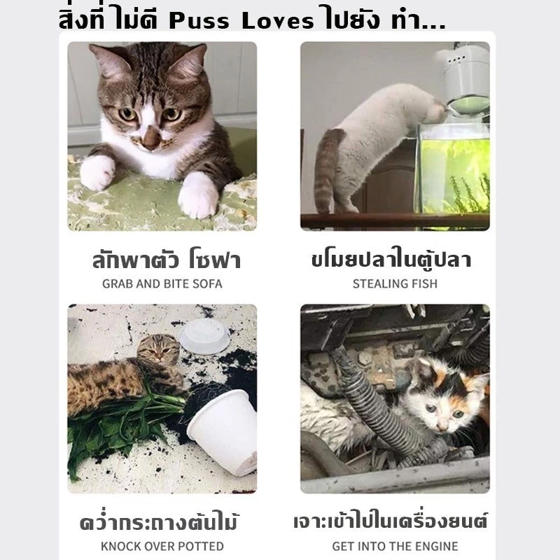 TTM แผงหนามไล่แมวและสุนัข ขนาด 42x34 ซม. thumbnail 7