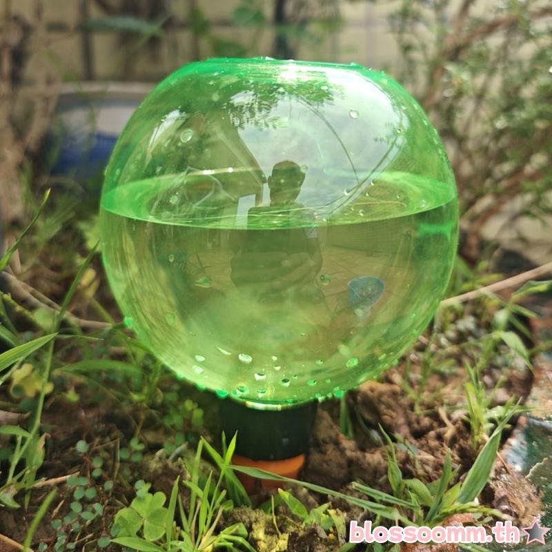 BLOSS 6 ชิ้นพืชรดน้ํา Globes รดน้ําอัตโนมัติ Globes รดน้ํา Planter ใส่ในร่มกลางแจ้งหยดชลประทาน