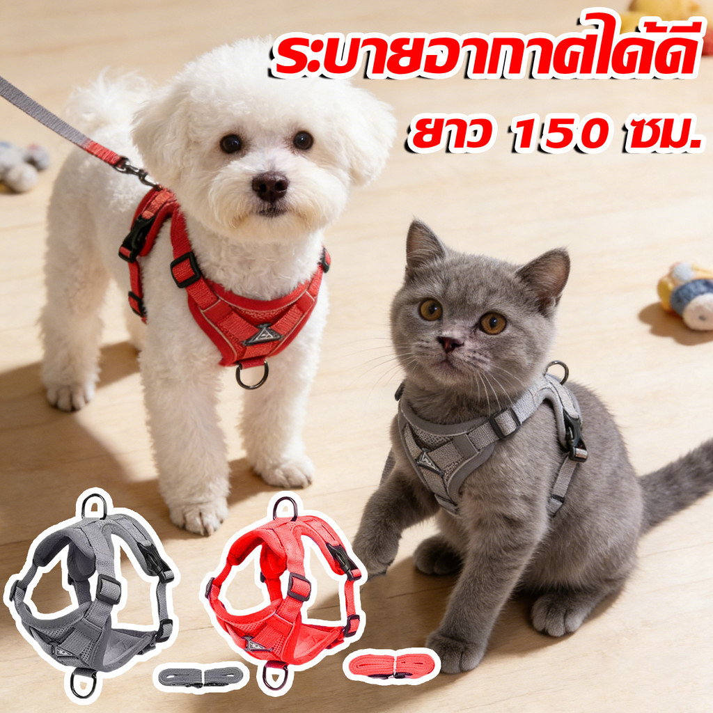 COD สายจูงแมว สายจูงแมวสัตว์เลี้ยง สายจูงสุนัขแบบปรับได้ ทนทาน ระบายอากาศได้ดี  ยาว 150 ซม.