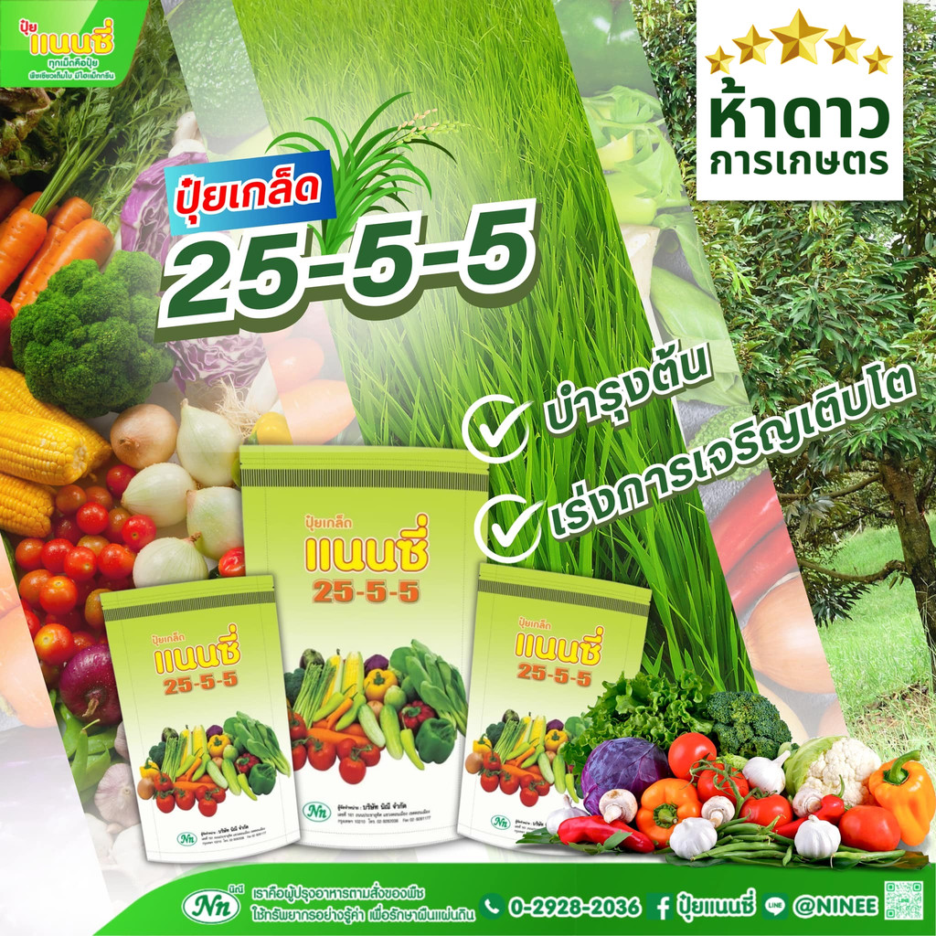 ปุ๋ยเกล็ดแนนซี่ 25-5-5 บำรุงต้น ช่วยเร่งการเจริญเติบโต ต้นสมบูรณ์ โตไว แข็งแรง 1กก.