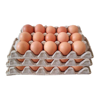 TELUR CURAH 15 BUTIR