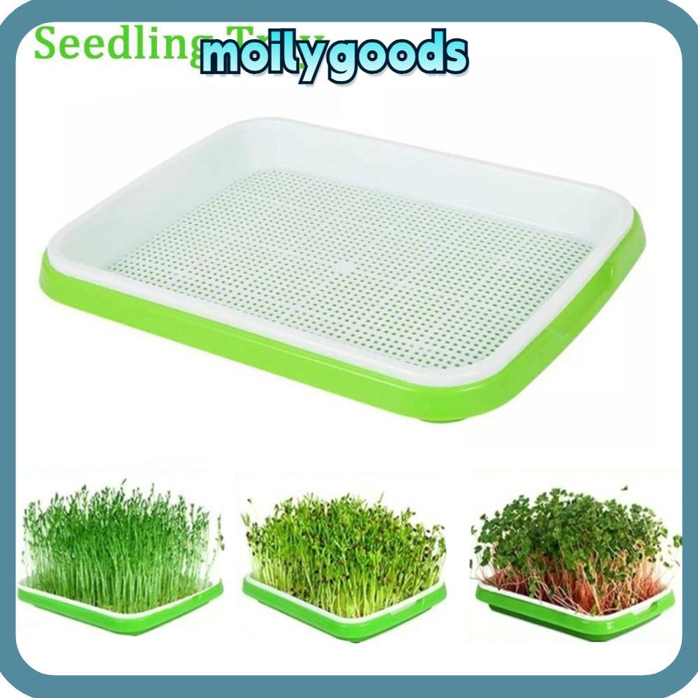 MOILYHD Grow Nursery Pots Outdoor Indoor Soilless Cultivation Nursery Paper Plant Box