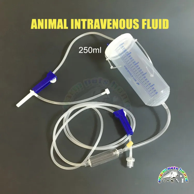 ทิ้งปราศจากเชื้อสัตว์ขวดของเหลวในระหว่างกัน IV ของเหลวสําหรับสุนัขแมว 250ml Intravenous Catheter อุป