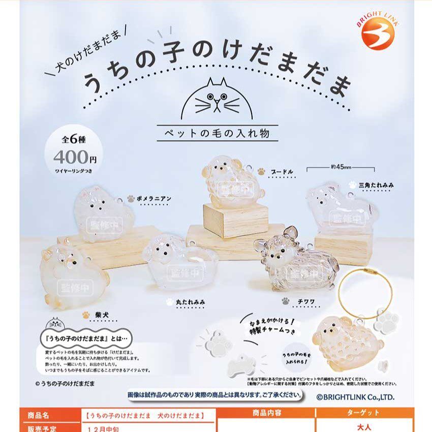 [House House House House] Bright Link My House Hairy Kid Dog Shape Transparent Storage Charm Capsule