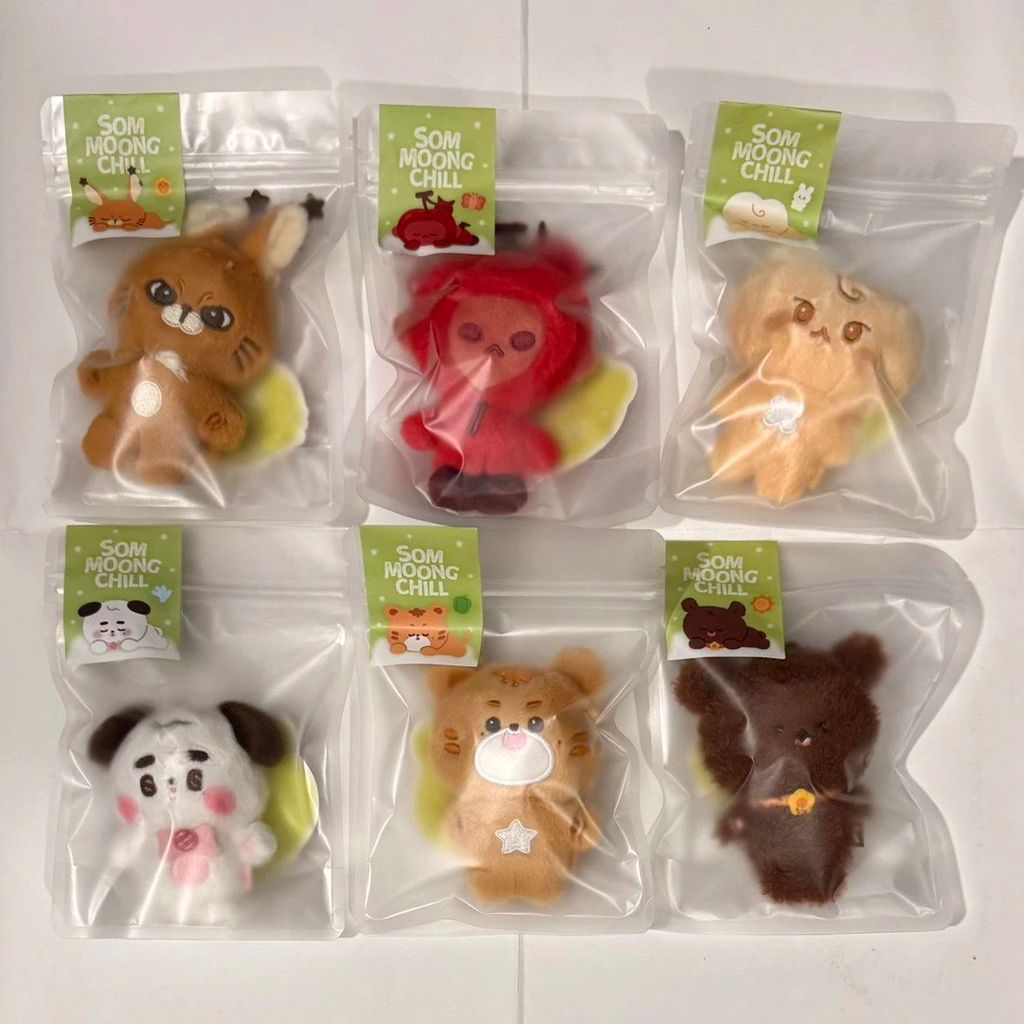 เกาหลีรับประกันตรง 100% ✨【Guoxian】ตุ๊กตา nct127 ตุ๊กตา 10cm ตัวละคร som moong