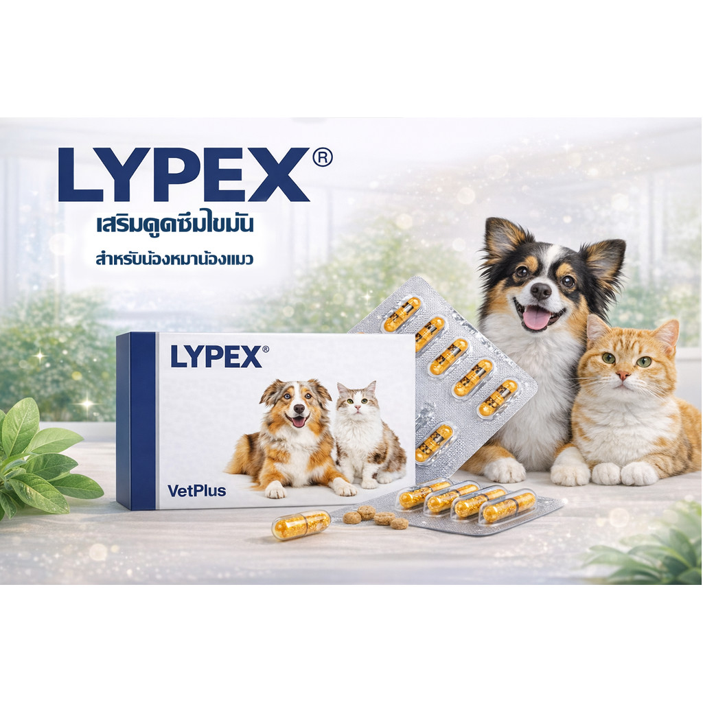 ซื้อ 3 แถม 1 = 4[TJ] LYPEX *15 แคปซูล* เอนไซม์ตับสำหรับสุนัขและแมว