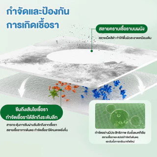 【Agate ของแท้】น้ำยาเช็ดเชื้อรา สเปรย์กำจัดเชื้อรา ฆ่าเชื้อรา ยับยั้งเชื้อรา ผนังไม่มีความเสียหาย ขจัดกลิ่นอับได้