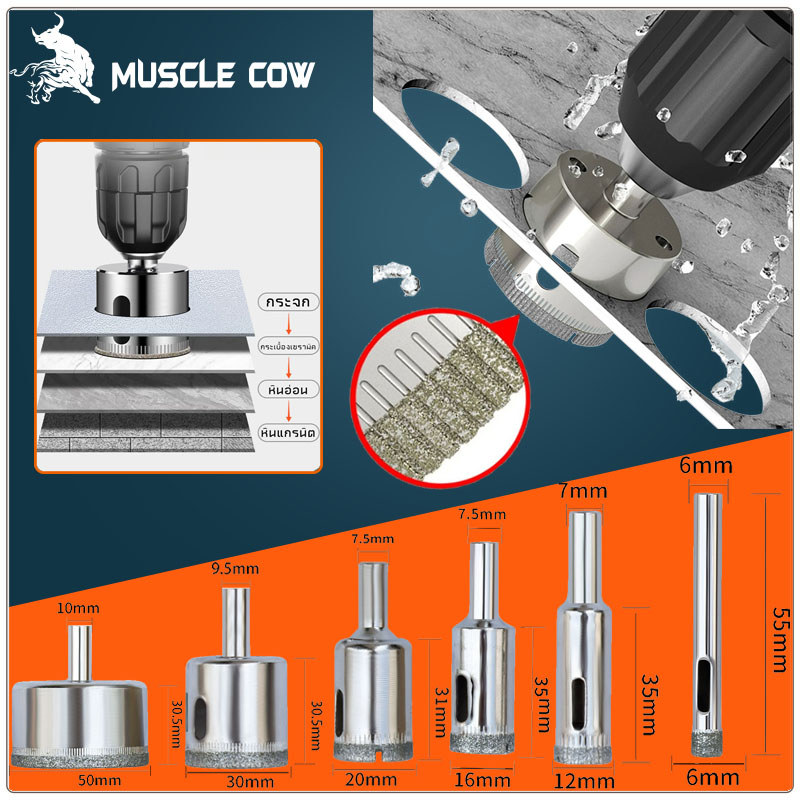 MUSCLE COW โฮลซอหัวเพชร ดอกโฮลซอหัวเพชร เจาะเปิดรู ดอกสว่านเจาะรู เจาะกระเบื้อง เจาะกระจก เจาะหินอ่อน หินแกรนิต