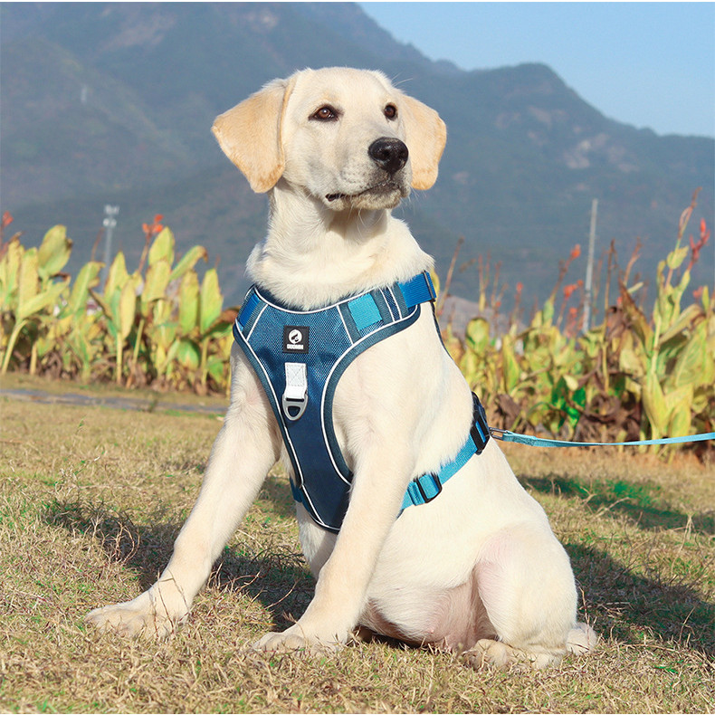 HANTU รูปแบบใหม่ที่กําหนดเองสายรัดหน้าอกสัตว์เลี้ยงเสื้อกั๊กสไตล์หน้าอกใหญ่หน้าอกกลับป้องกันการระเบิ