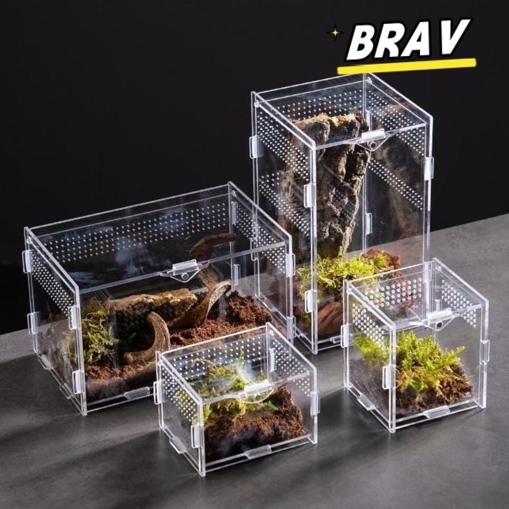 BRAV Lizard Breeding Box, อะคริลิค Anti-Escape สัตว์เลื้อยคลาน Habitat, Arboreal หลายขนาดกรงสัตว์เลี้ยงขนาดเล็กสําหรับแมงป่อง