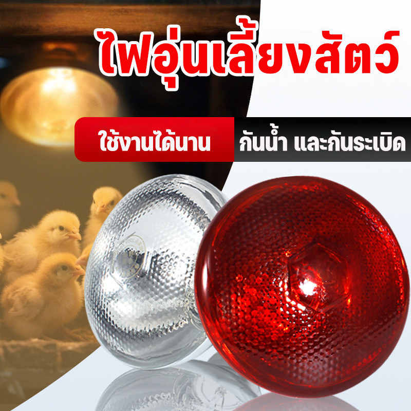 หลอดไฟอินฟราเรด อุ่นรักษาอุณหภูมิ สำหรับเลี้ยงสัตว์ ลูกหมู ลูกไก่ ลูกแกะ สัตว์เลี้ยง