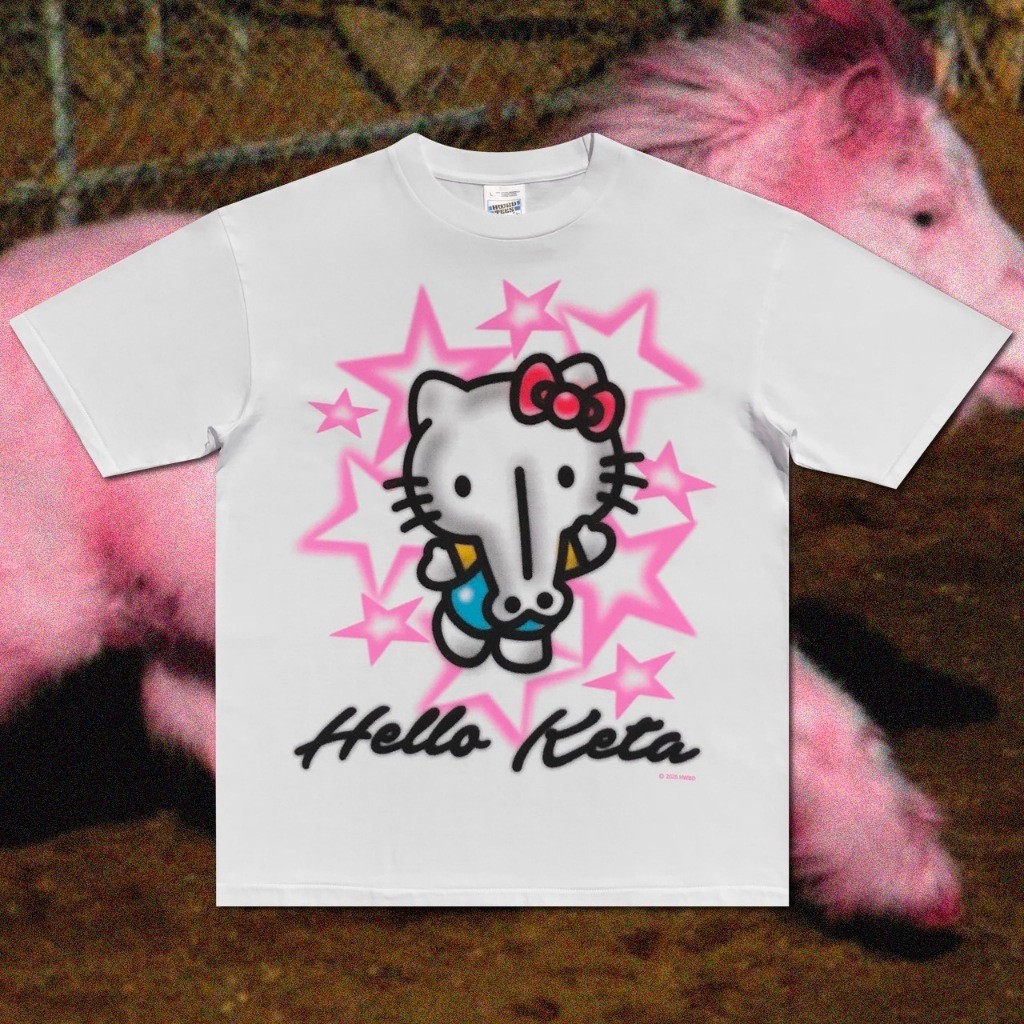 Homeward Bound เสื้อยืดคอกลม Hello Keta