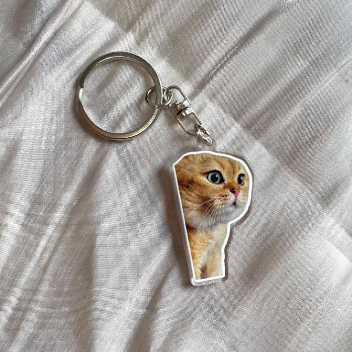 GANTUNGAN KUNCI MEME KUCING KEYCHAIN KUCING LUCU UNIK / GANCI CAT ACRYLIC / GITUNA TAS GAMBAR KUCING