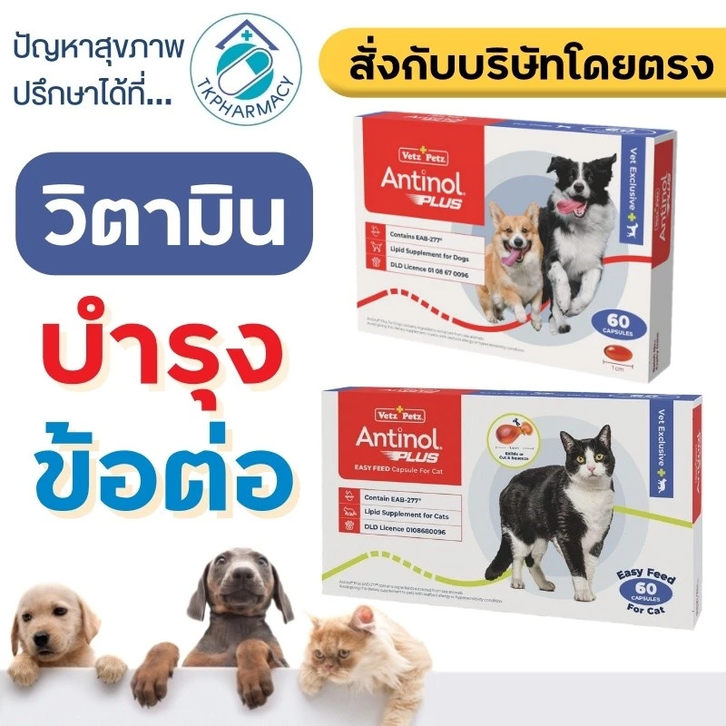 Antinol Dog / Antinol Cat แอนทินอล อาหารเสริมไขมัน บำรุงข้อ