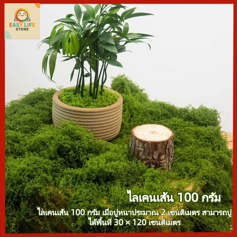 【พร้อมส่ง】มอสเทียม 100 กรัม - สำหรับตกแต่งจุลภูมิ DIY บอนไซ สวนหิน และฉากตกแต่ง
