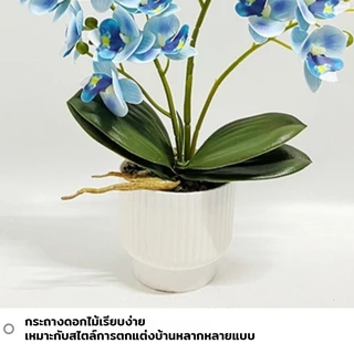 ดอกไม้ประดิษฐ์ ต้นไม้กระถางฟาแลนนอปซิส ดอกกล้วยไม้ประดิษฐ์ ดอกกล้วยไม้ 21 ดอก สําหรับตกแต่งบ้าน งานแต่งงาน ปาร์ตี้