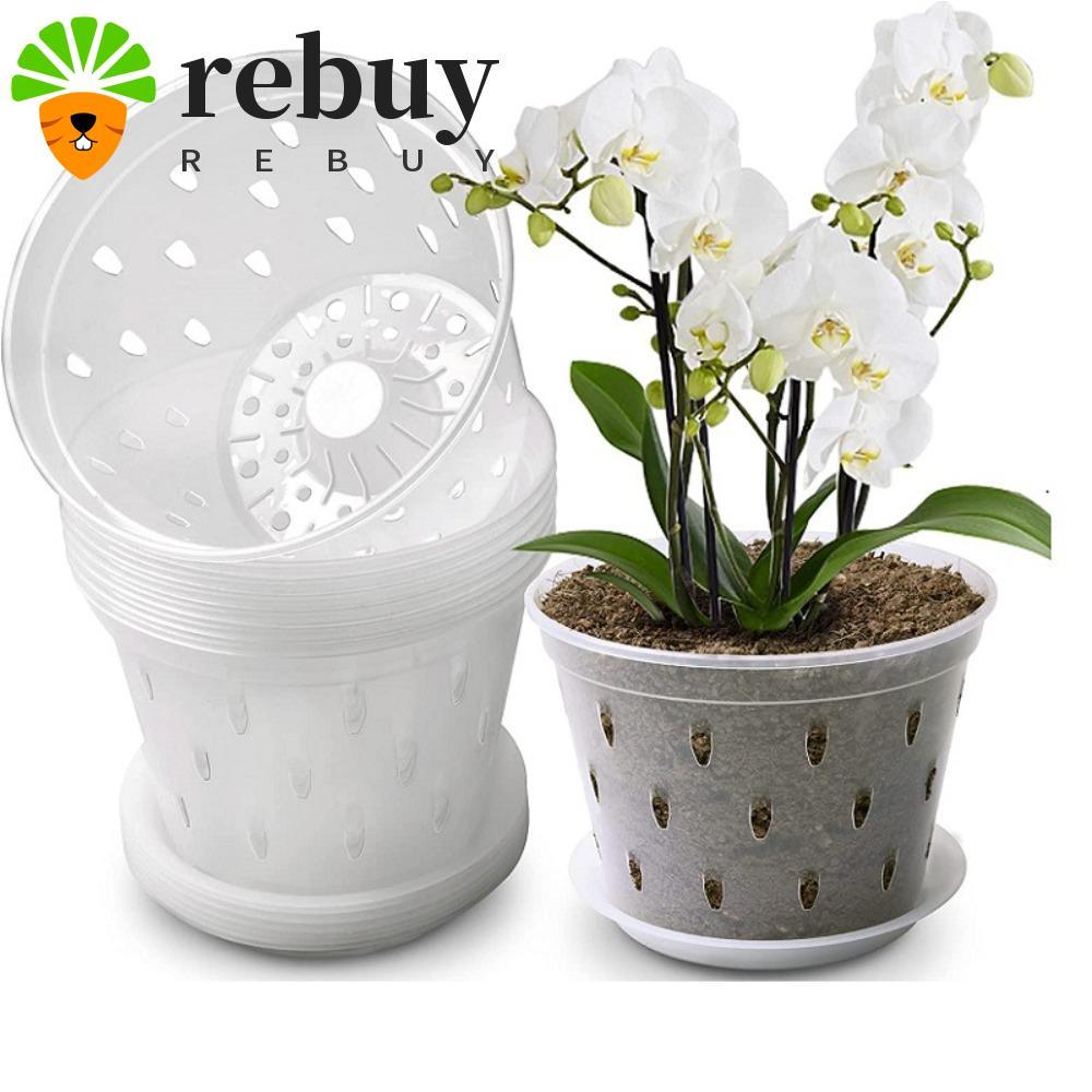 REBUY Orchid Pot Root Control ระบายน้ําดีเยี่ยมพลาสติกโปร่งใสมีรูและถาดสําหรับ Phalaenopsis Orchid ป