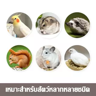 4/8 ชิ้น ถ้วยอาหารและน้ำนกแก้ว เหมาะสำหรับนกแก้วขนาดเล็ก เหมาะสำหรับนกแก้วขนาดเล็ก