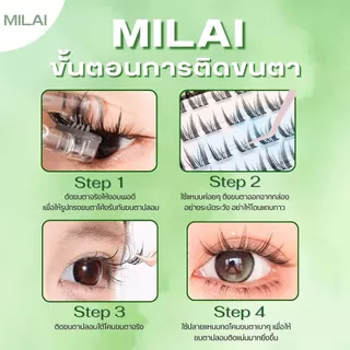 【G07 จิ๋วนักล่า】MILAI ขนตาปลอมกาวในตัว ลุคตาเฉี่ยว เรียวยาว ไม่โป๊ะ