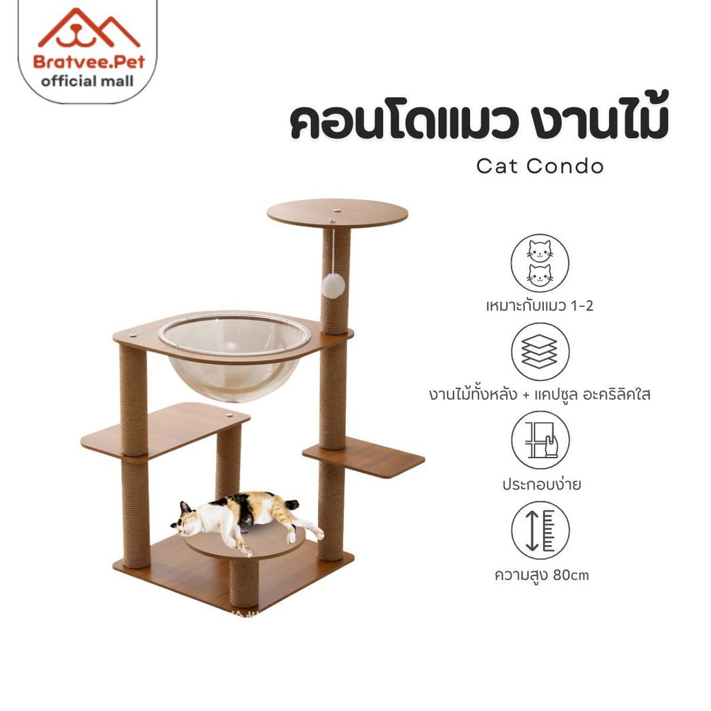 [Bratvee] คอนโดแมว ที่นอนแมว บ้านแมว เสาลับเล็บแมว ที่นอนหลุมอวกาศ เหมาะสำหรับแมว 1-2 ตัว