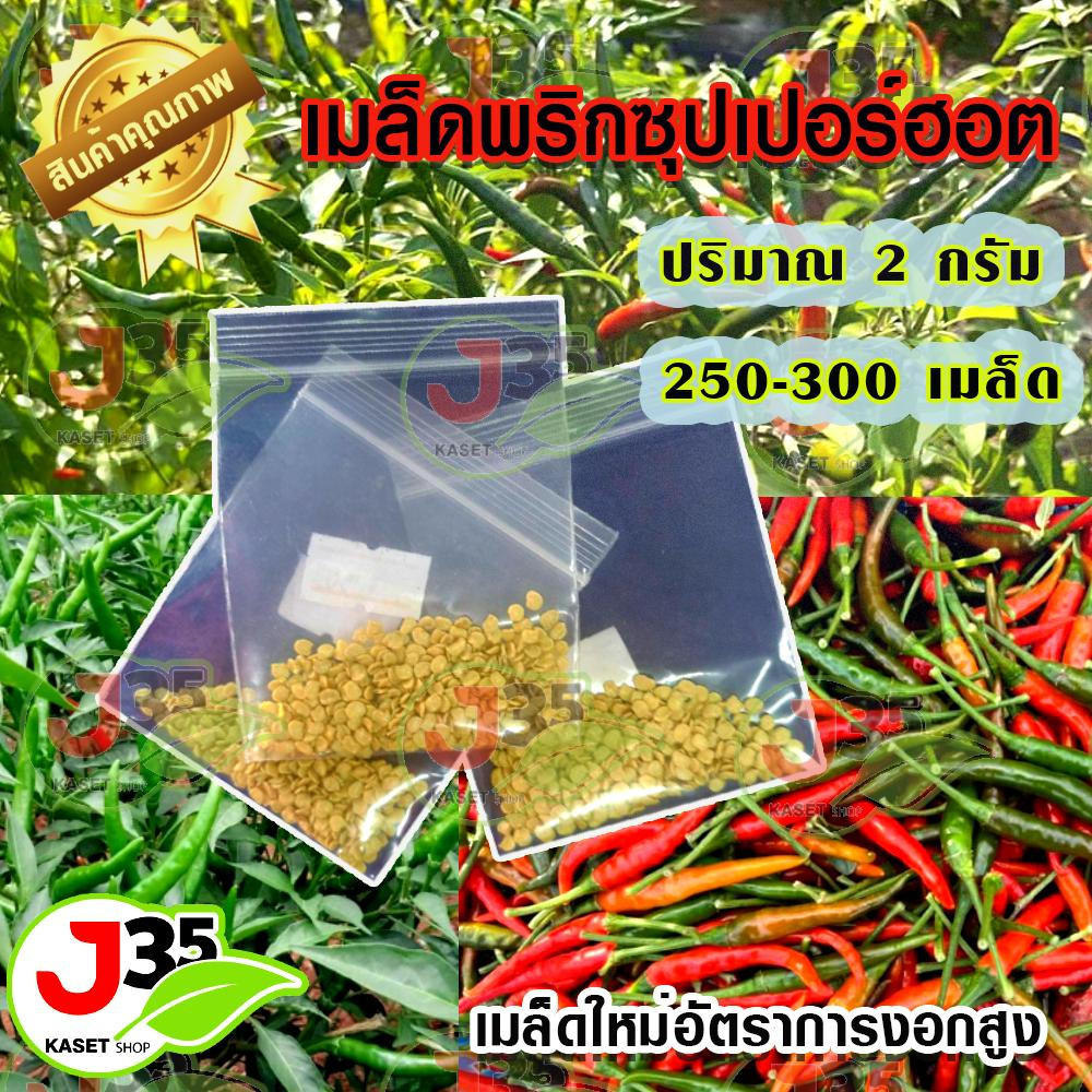 เมล็ดพริกซุปเปอร์ฮอต เมล็ดพันธุ์คุณภาพ ขนาด 2 กรัม มี 250-300  เมล็ด ผลใหญ่ น้ำหนักดี ต้านทานโรคได้ดี
