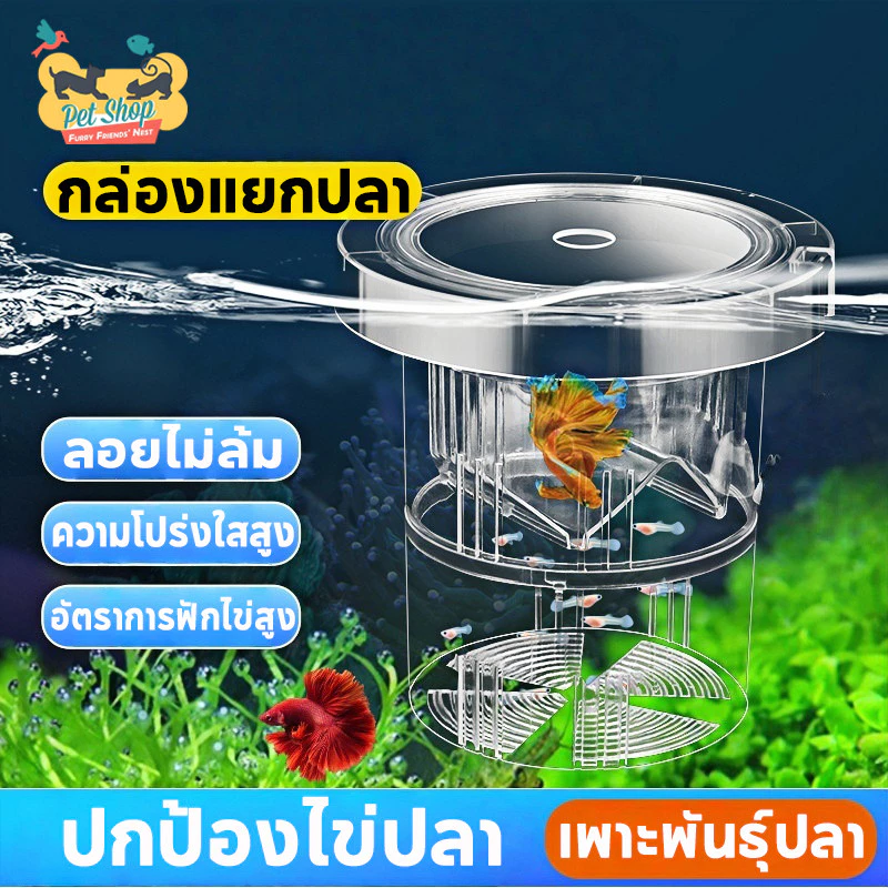 กล่องแยกปลา กล่องคลอดปลา ตู้ปลากัด แบบลอยน้ำ