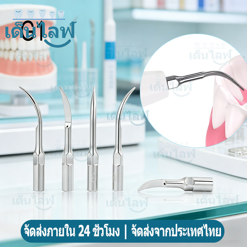 5PCS Dental Ultrasonic Scaler Insert Scaling Tips Fit EMS & Woodpecker Ultrasonic Scaler Handpiece S