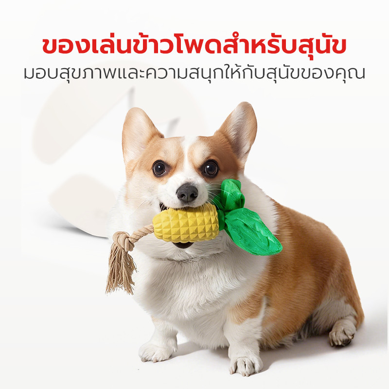 Pet Star لعبة مطاط طبيعي سميكة للكلاب — صورة 2