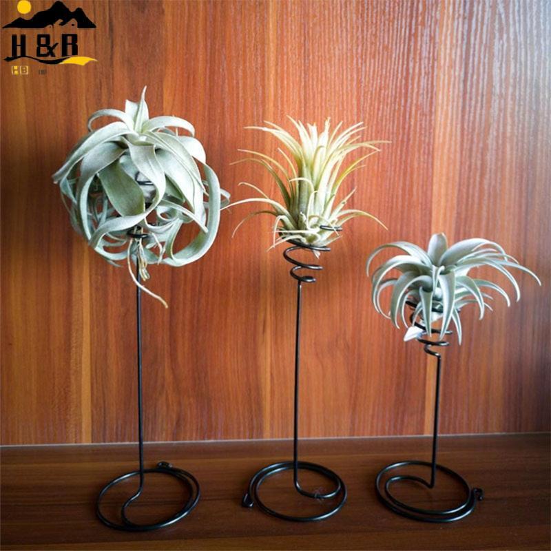 H&B Air Plant Holder 3Size Container Flower Stand Displaying Home Desktop Decoration {th}