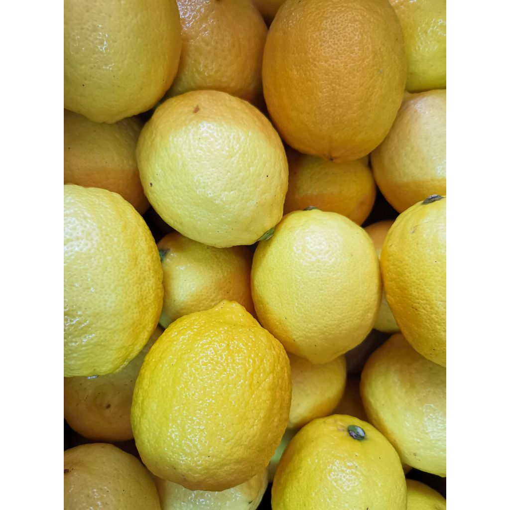 111 มะนาวเลมอนสด ผลมะนาวเลมอน 1 kg Good