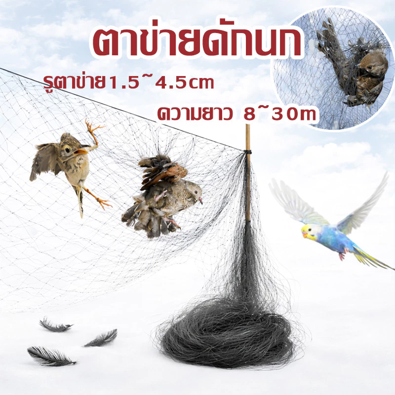 ตาข่ายดักนก ดางดักนก อวนดักนก อวนดักค้างคาว ตาข่ายดักนกพิราบ ข่ายดักนก เรด้าดักนก ตาข่ายป้องกันนก