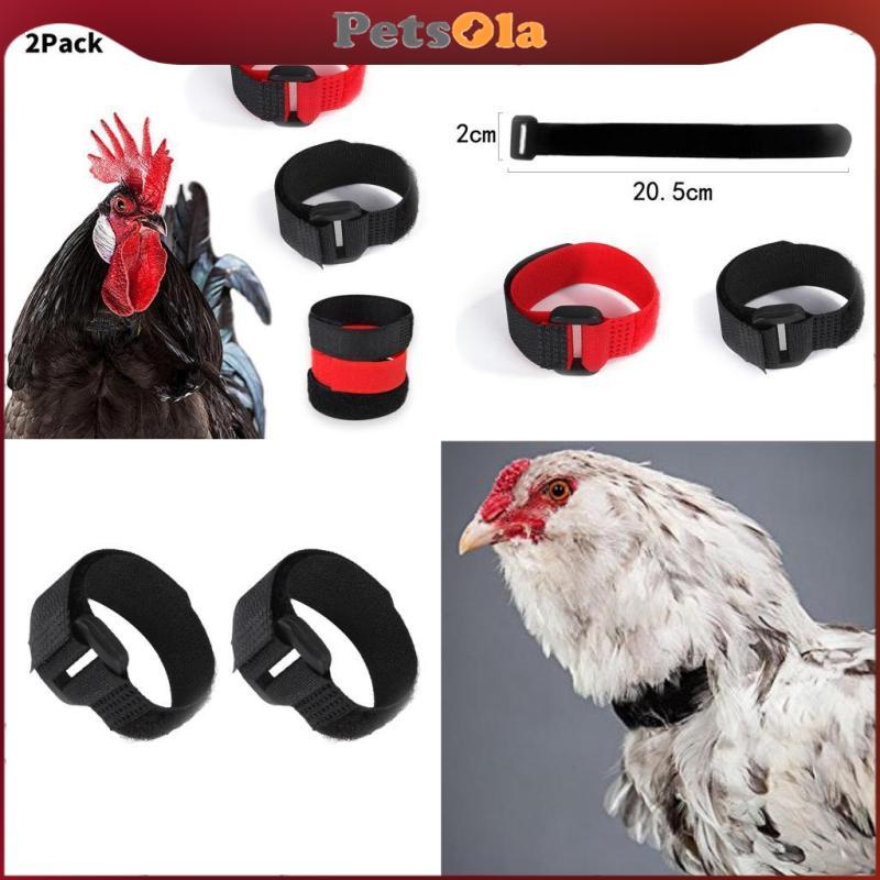 PETSOLA 2x ปลอกคอไก่ป้องกันไก่จากการรบกวนเพื่อนบ้านสําหรับห่านเป็ด