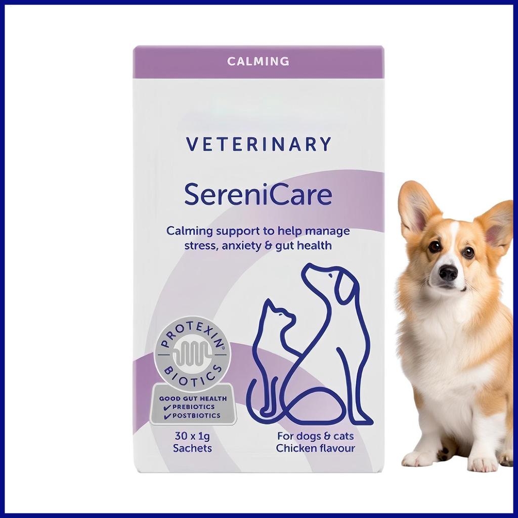 Dog Digestive Support Fast Absorption Relaxing 30 นับเม็ด Gut Health Digestive Function Support สําห