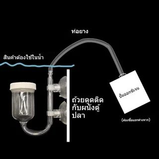 COD ถังปลาปั๊มออกซิเจน หัวทราย 25/35mm ฟองละเอียด ทำงานเงียบ ให้น้ำมีออกซิเจนสูง ประหยัดไฟ วัสดุทนทาน ใช้ในตู้ปลาได้ดี