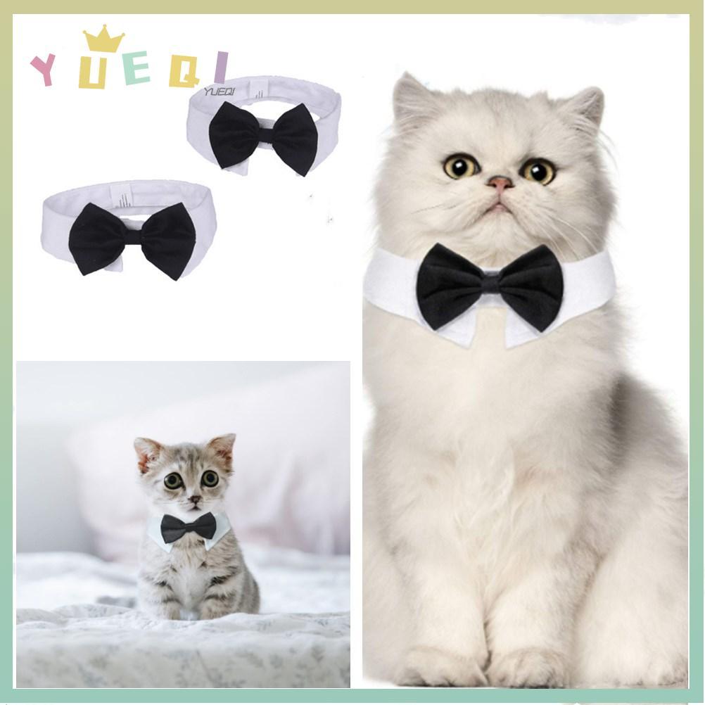 YUEQI Cat Tuxedo Collar ชุดปรับได้ Puppy Cat ลูกแมวสัตว์เลี้ยง Tuxedo อย่างเป็นทางการ