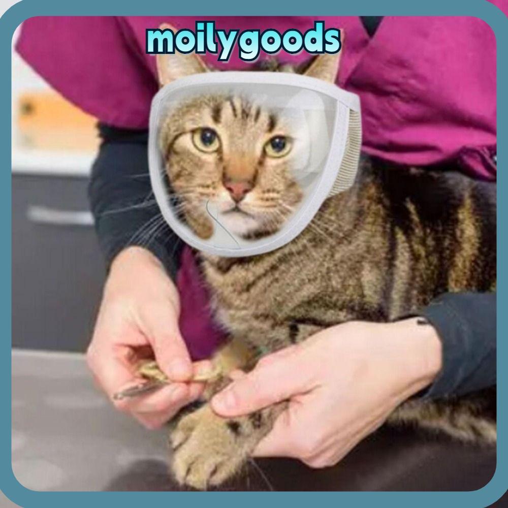 MOILYHD Kitten Muzzles Chewing Safety Anti Bite Transparent Mouth Guard