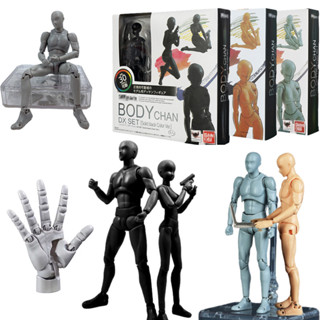 SHF Body Kun Mannequin 1/2 Movable Joint Action Figure วาดอ้…
